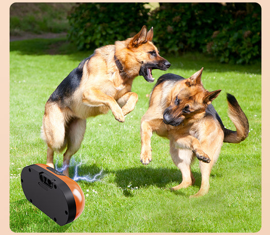 Anti Bark Device