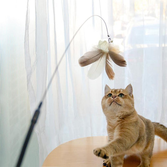 Cat Laser Teaser Wand
