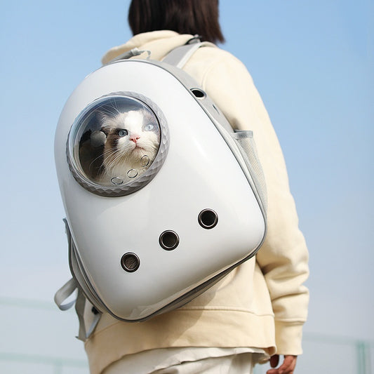 Large Capacity Pet Portable Schoolbag