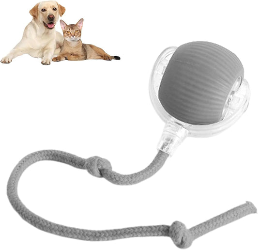 360° Smart Automatic Rolling Pet Ball – Interactive Rechargeable Toy for Dogs & Cats with Obstacle Avoidance