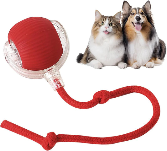 360° Smart Automatic Rolling Pet Ball – Interactive Rechargeable Toy for Dogs & Cats with Obstacle Avoidance
