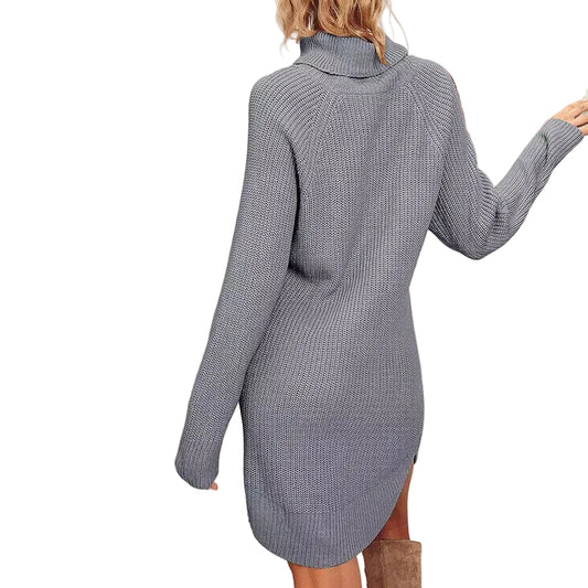 Women's Turtleneck Sweater Dress