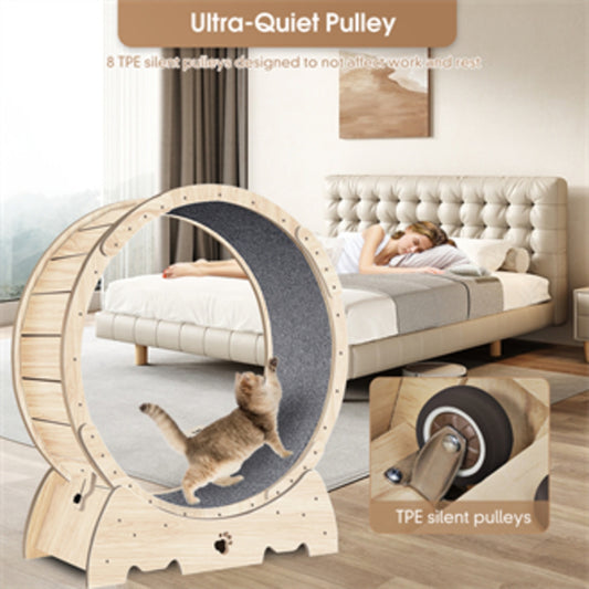 Exercise Wheel For Indoor Cats