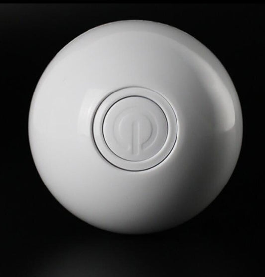 LED Laser Electronic Rolling Ball Pet Toy