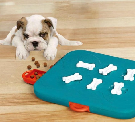 Casino treasure hunt puzzle food spill toy