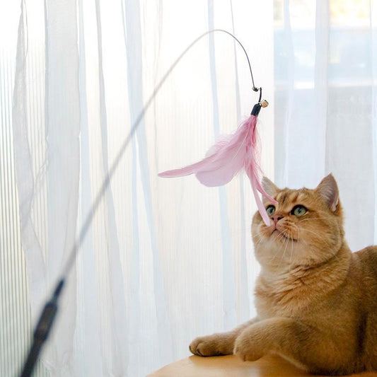 Cat Laser Teaser Wand